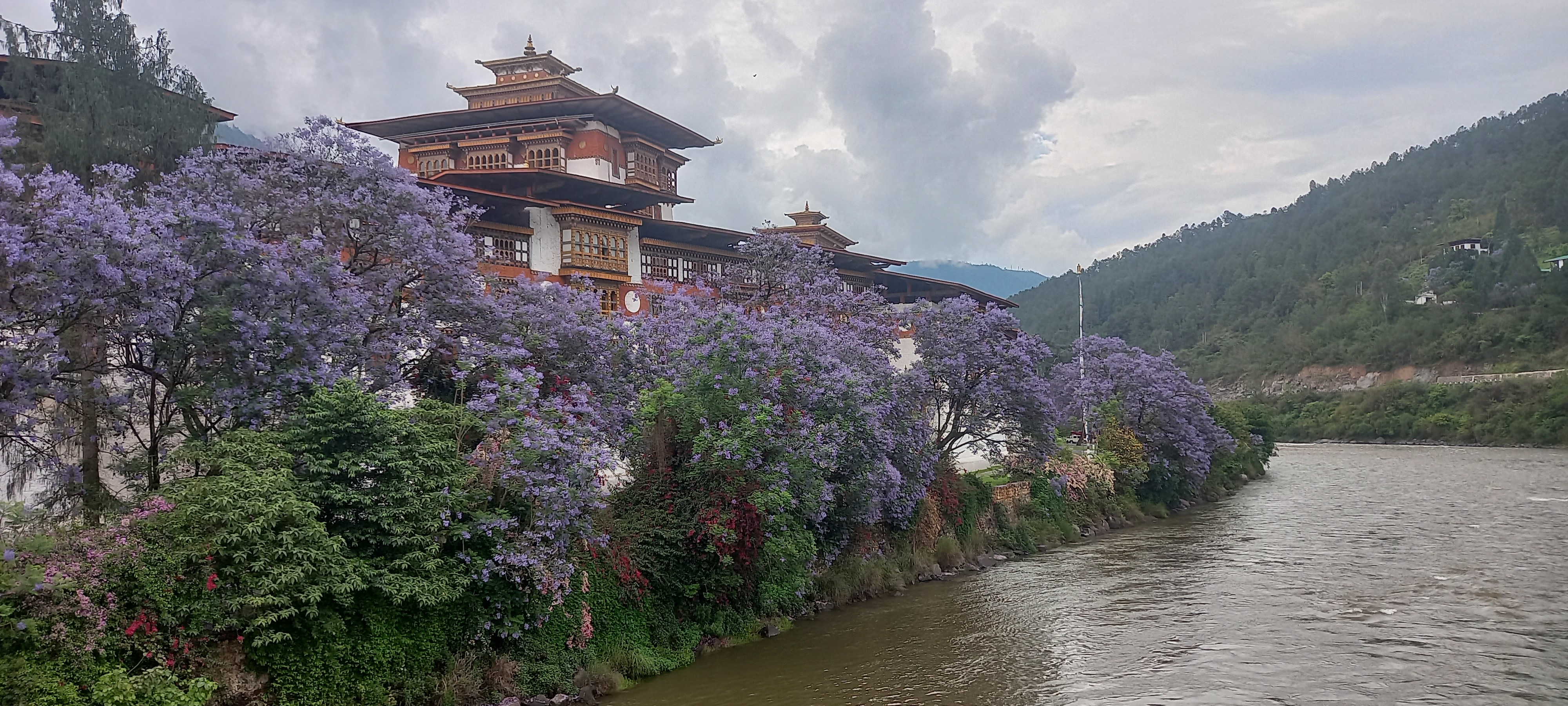 Hotel Zhusa